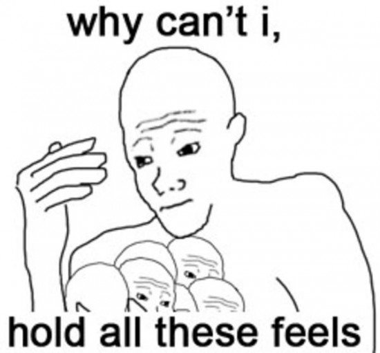 why can i hold all these feels.jpg