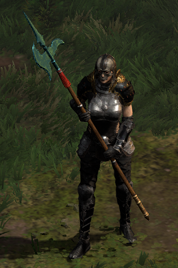 Woestave on an Assassin in Rogue Encampment