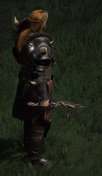 A Druid wielding Maelstrom.