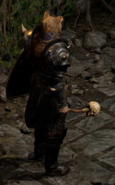 A Druid wielding Infernal Torch.