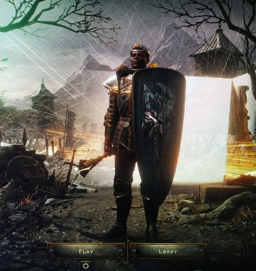 Flickering screen in D2R.jpg