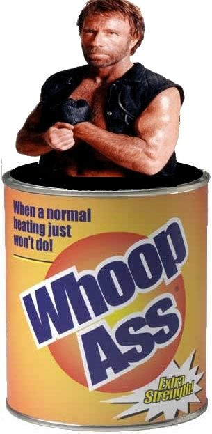 Chuck Norris Whoop Ass.jpg