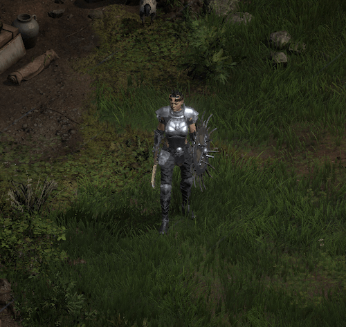 Assassin in the Rogue Encampment