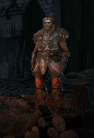 Druid as seen on the character creation screen